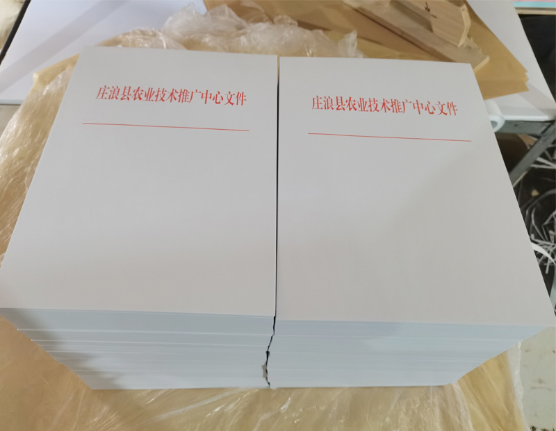 盐池文头纸